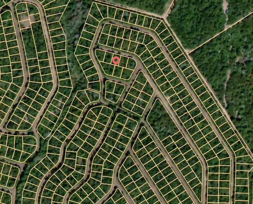 Lot 3 E Austin Colony, Normangee, Texas image 3