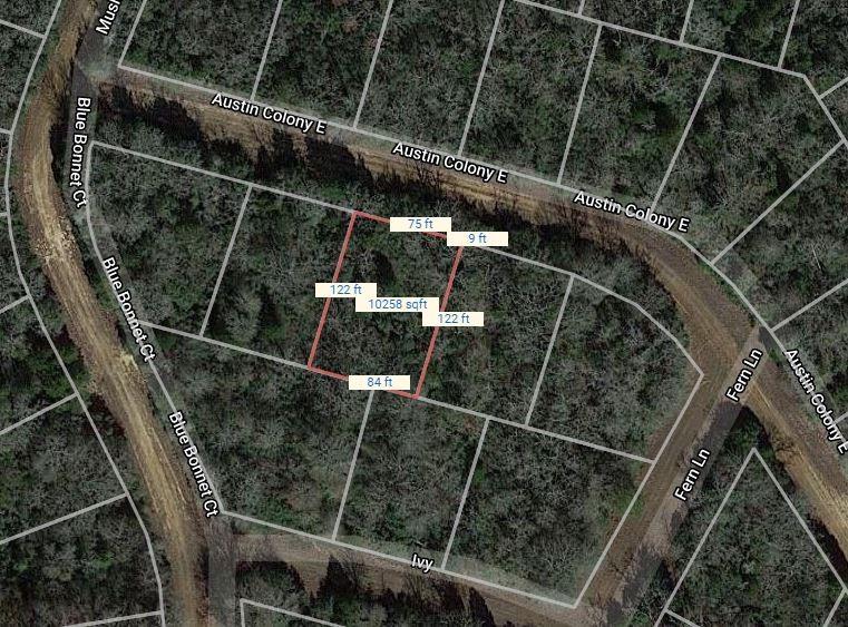 Lot 3 E Austin Colony, Normangee, Texas image 2