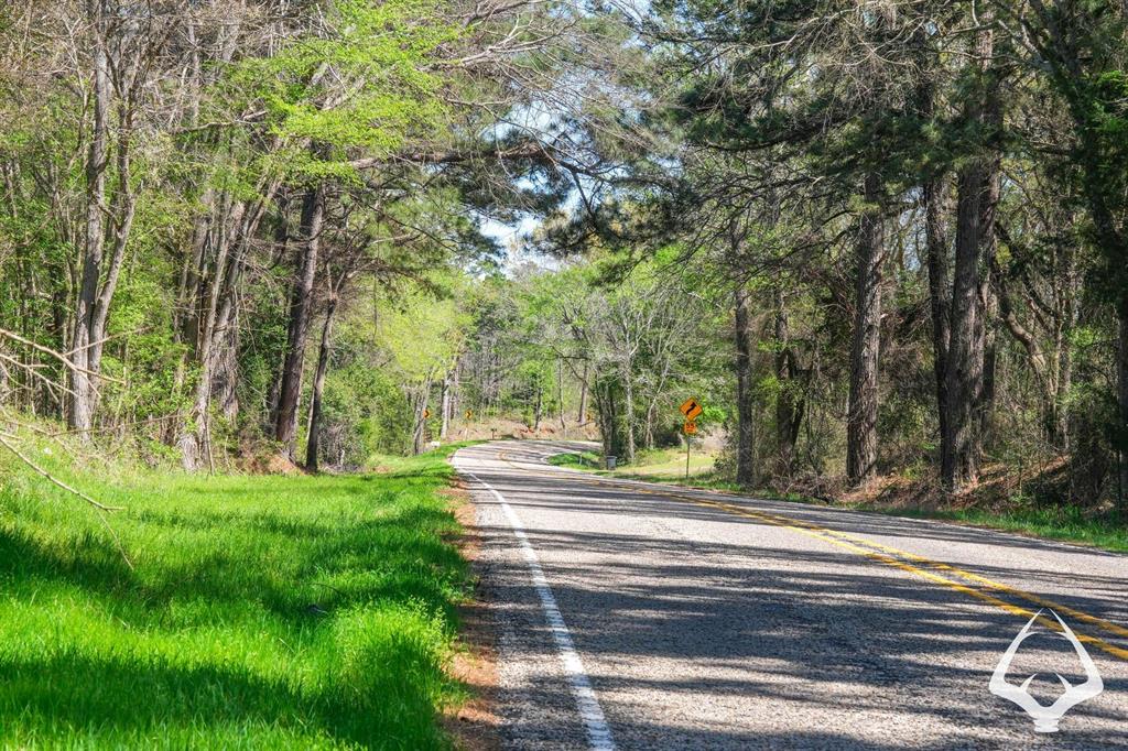 TBD 2 Fm 323, Palestine, Texas image 7