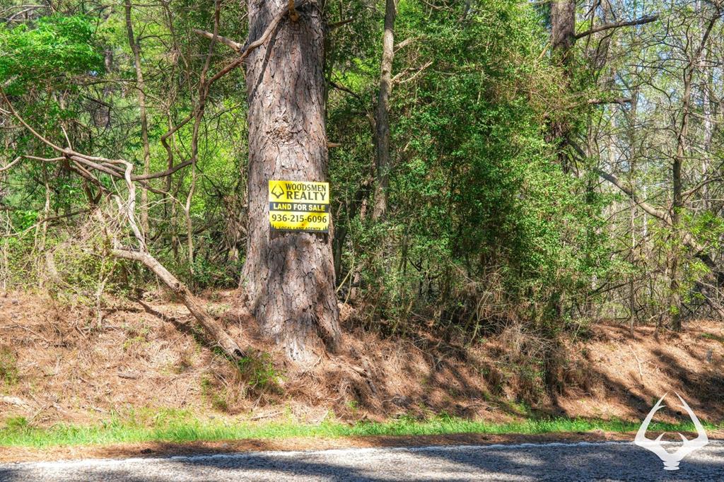 TBD 2 Fm 323, Palestine, Texas image 4