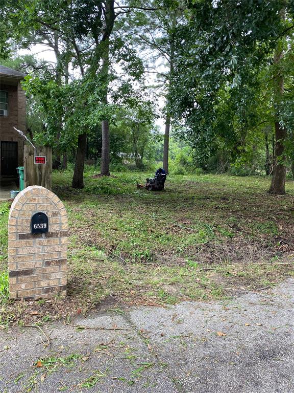 00 Apollo St Street, Houston, Texas image 2