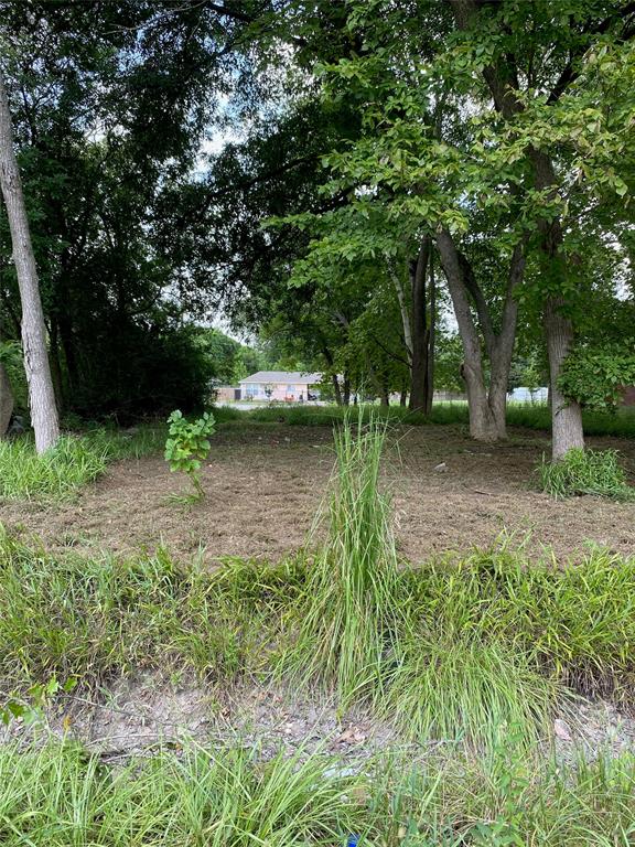 00 Apollo St Street, Houston, Texas image 5