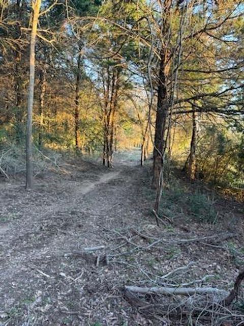 0 521 Fcr Fairfield TX 75840