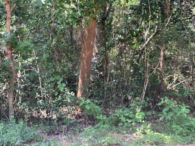 Tbd Tanyard Rd, Conroe, Texas image 1