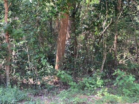 Vacant Land For Sale - TBD Tanyard Rd<br/> Conroe, TX 77303