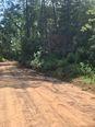 Tbd Tanyard Rd, Conroe, Texas image 5