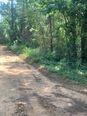 Tbd Tanyard Rd, Conroe, Texas image 4