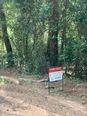 Tbd Tanyard Rd, Conroe, Texas image 3