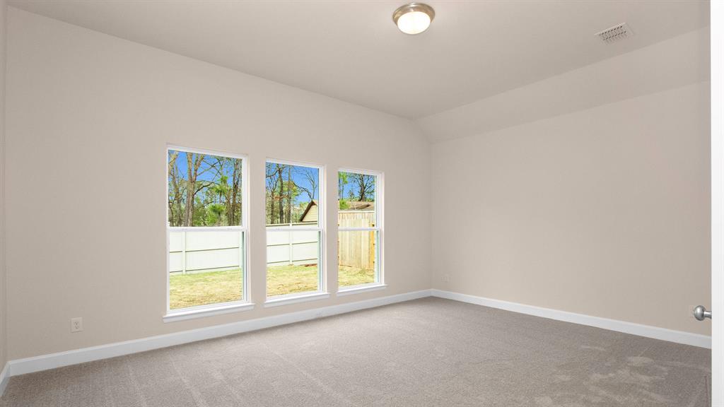 14734 Band Tailed Pigeon Court, Magnolia, Texas image 4