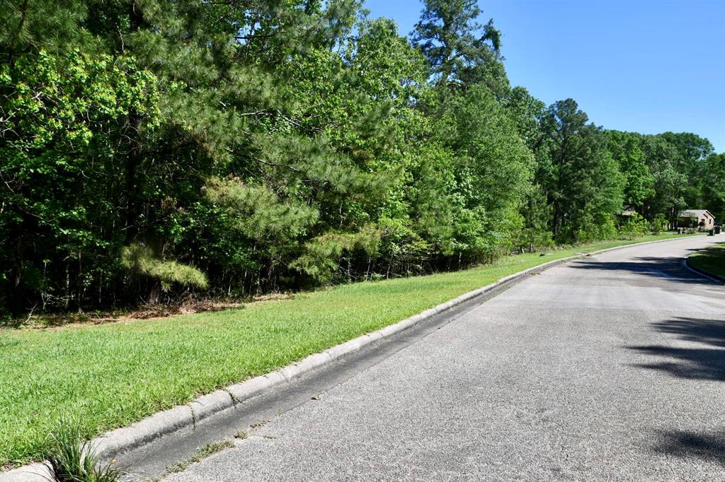 239 Vista Del Lago Drive, Huffman, Texas image 2