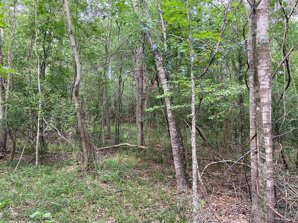 239 Vista Del Lago Drive, Huffman, Texas image 4