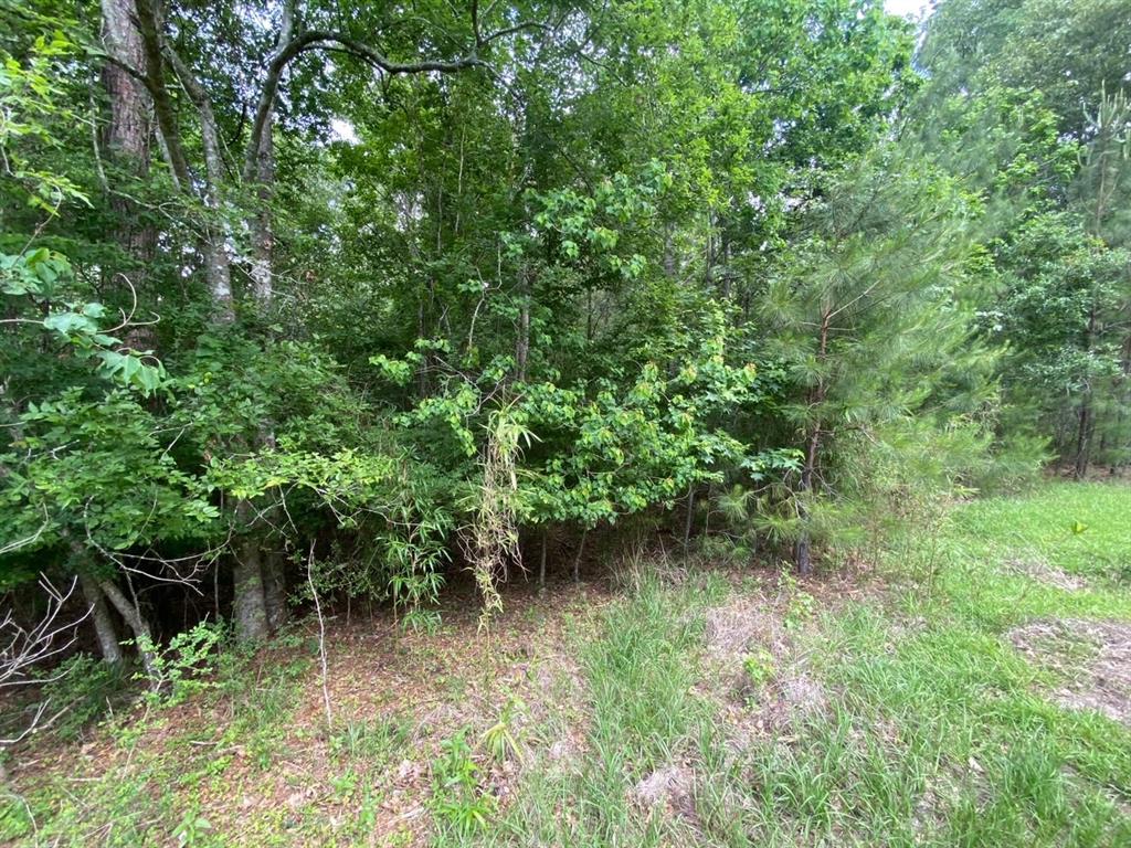 239 Vista Del Lago Drive, Huffman, Texas image 3