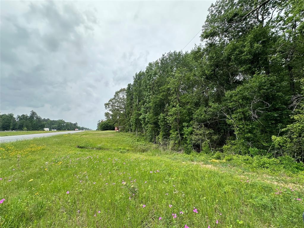 4187 S Us-59 Road, Livingston, Texas image 1