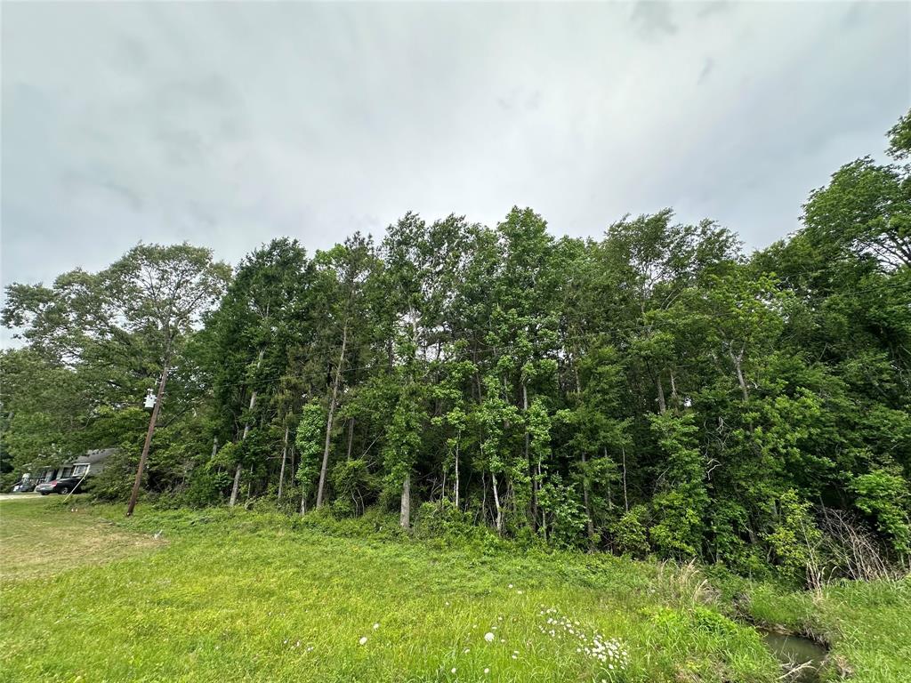 4187 S Us-59 Road, Livingston, Texas image 4
