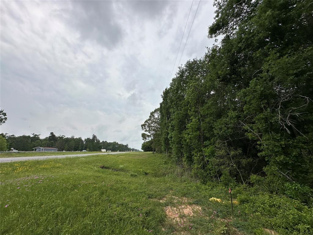 4187 S Us-59 Road, Livingston, Texas image 5