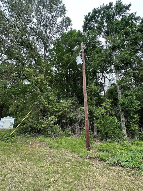 4187 S Us-59 Road, Livingston, Texas image 3