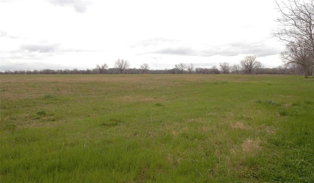 7098 Steck Bottom Road, Sealy, Texas image 34