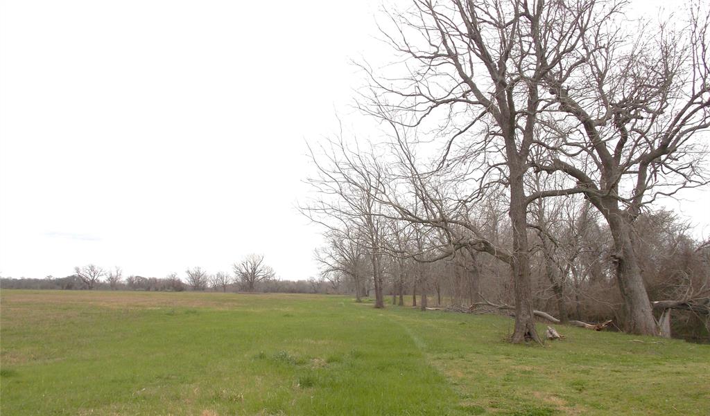 7098 Steck Bottom Road, Sealy, Texas image 31