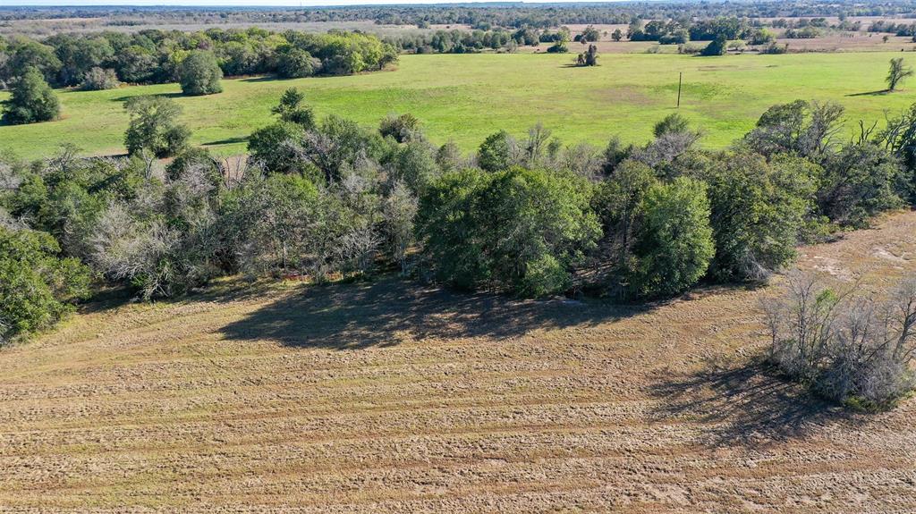 Lot 6 County Rd 229, Bedias, Texas image 5