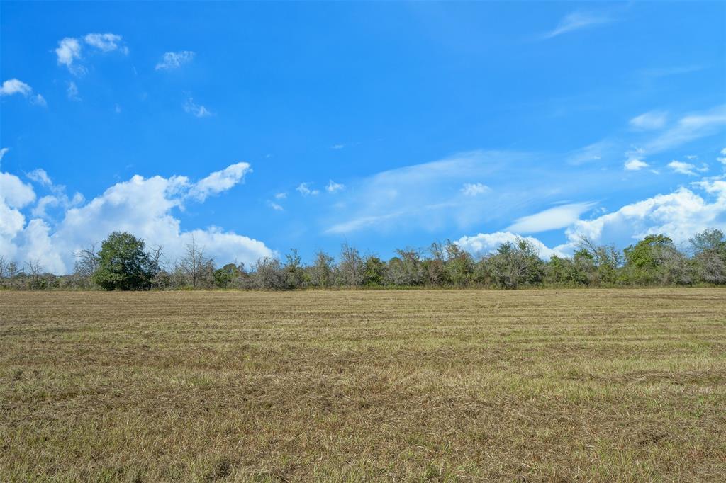 Lot 6 County Rd 229, Bedias, Texas image 11