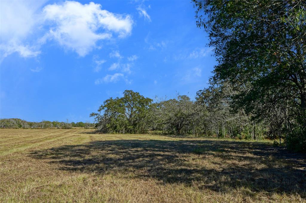 Lot 6 County Rd 229, Bedias, Texas image 1