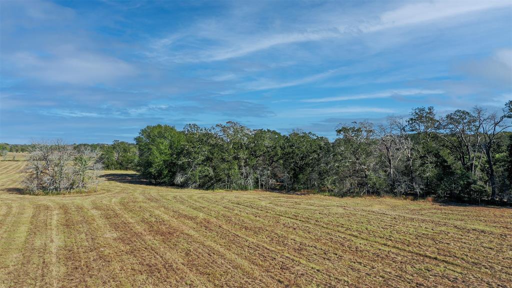 Lot 6 County Rd 229, Bedias, Texas image 4