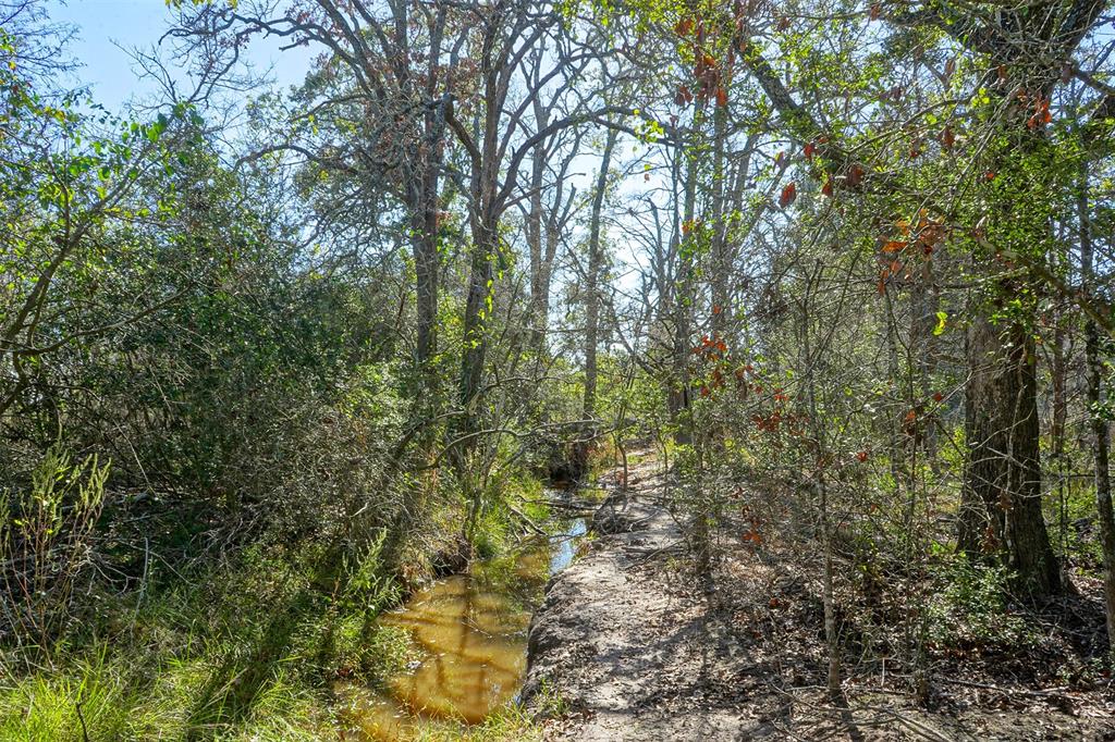 Lot 6 County Rd 229, Bedias, Texas image 6