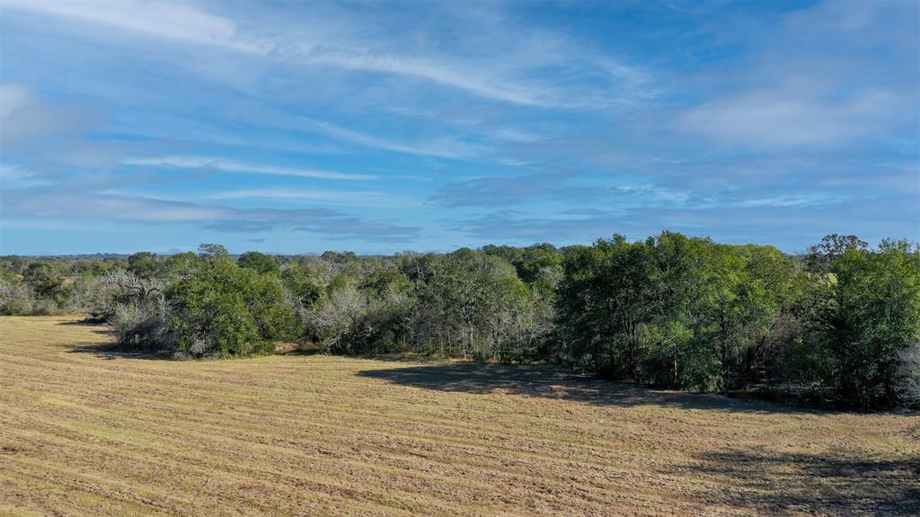 Lot 6 County Rd 229, Bedias, Texas image 9