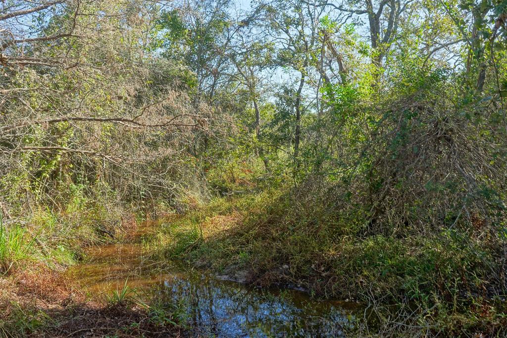 Lot 6 County Rd 229, Bedias, Texas image 7