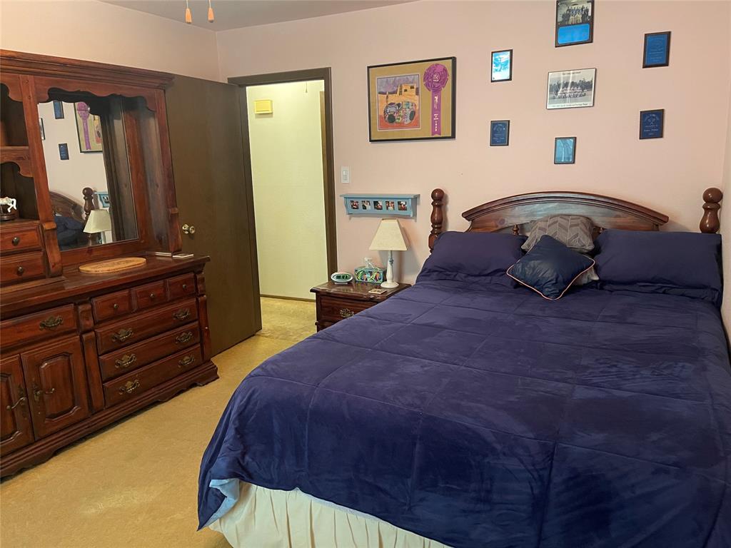 27634 Peach Creek Drive, New Caney, Texas image 13