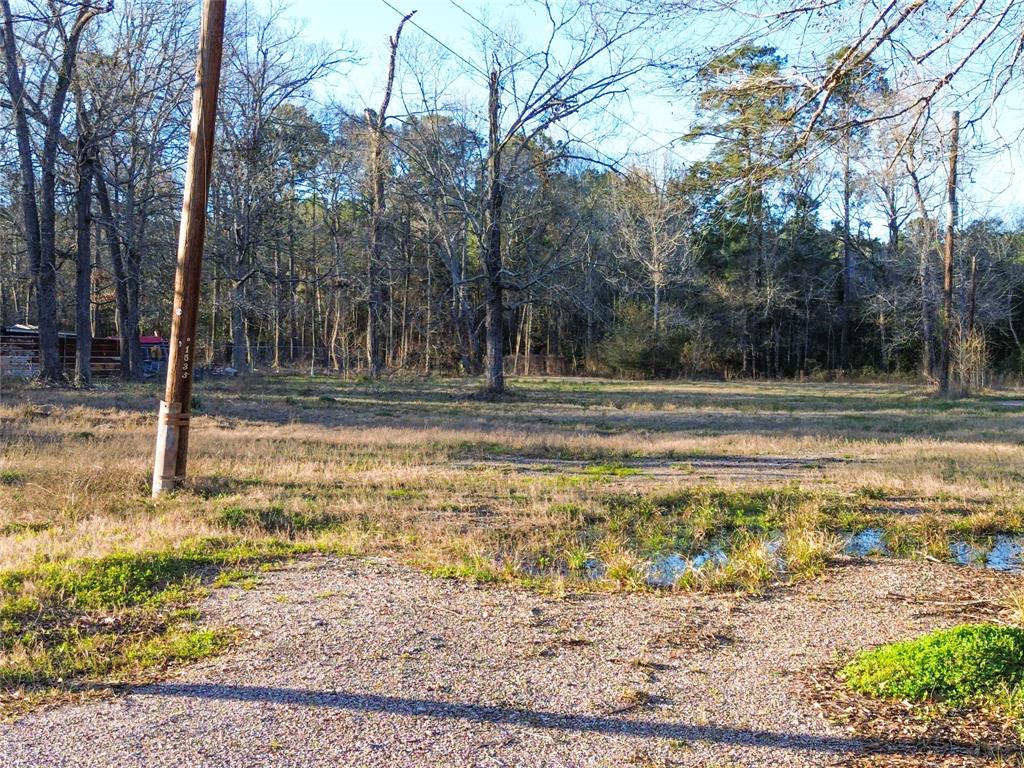 1739 County Road 373, Splendora, Texas image 5
