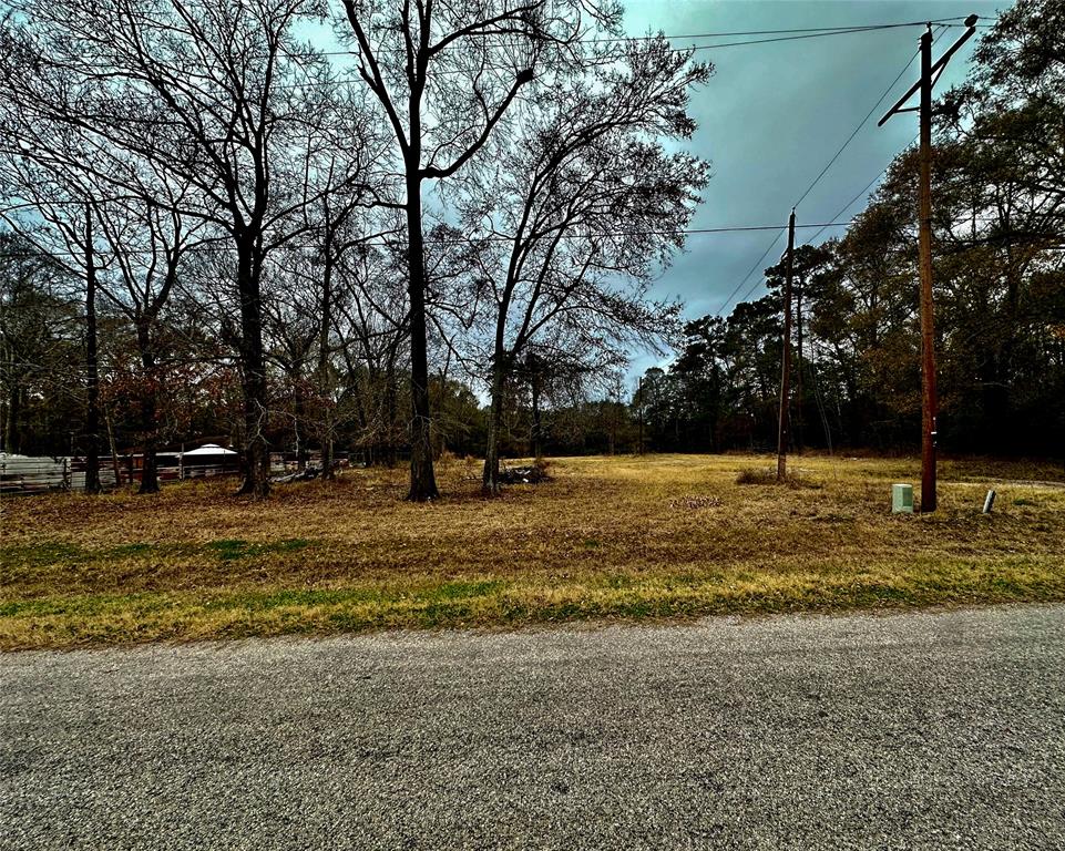 1739 County Road 373, Splendora, Texas image 3