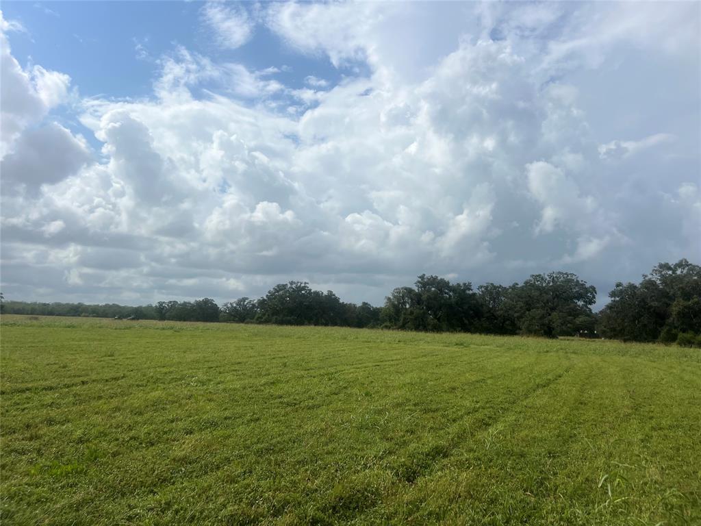 1238 Frontier Trail, Angleton, Texas image 3