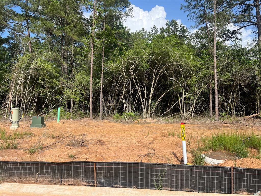 26241 E Outrider Banks Circle, Montgomery, Texas image 10