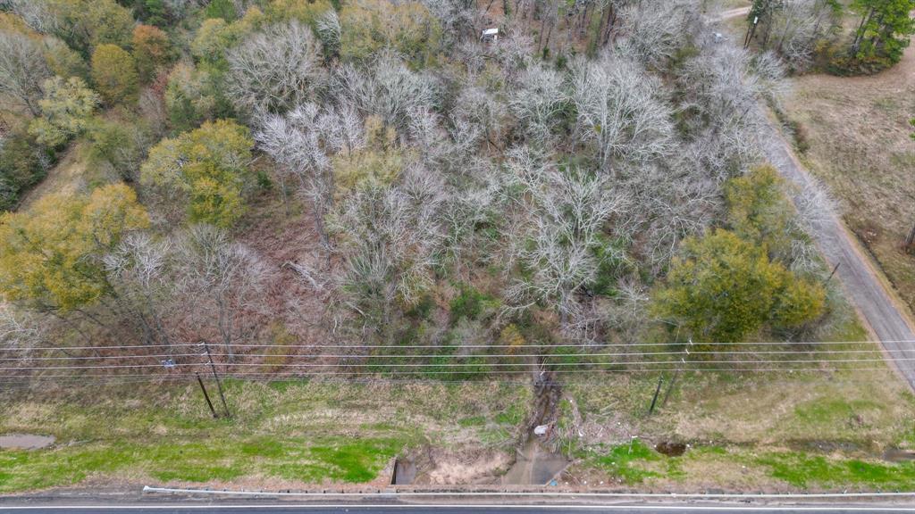 120 Timber Creek Road, New Waverly, Texas image 5