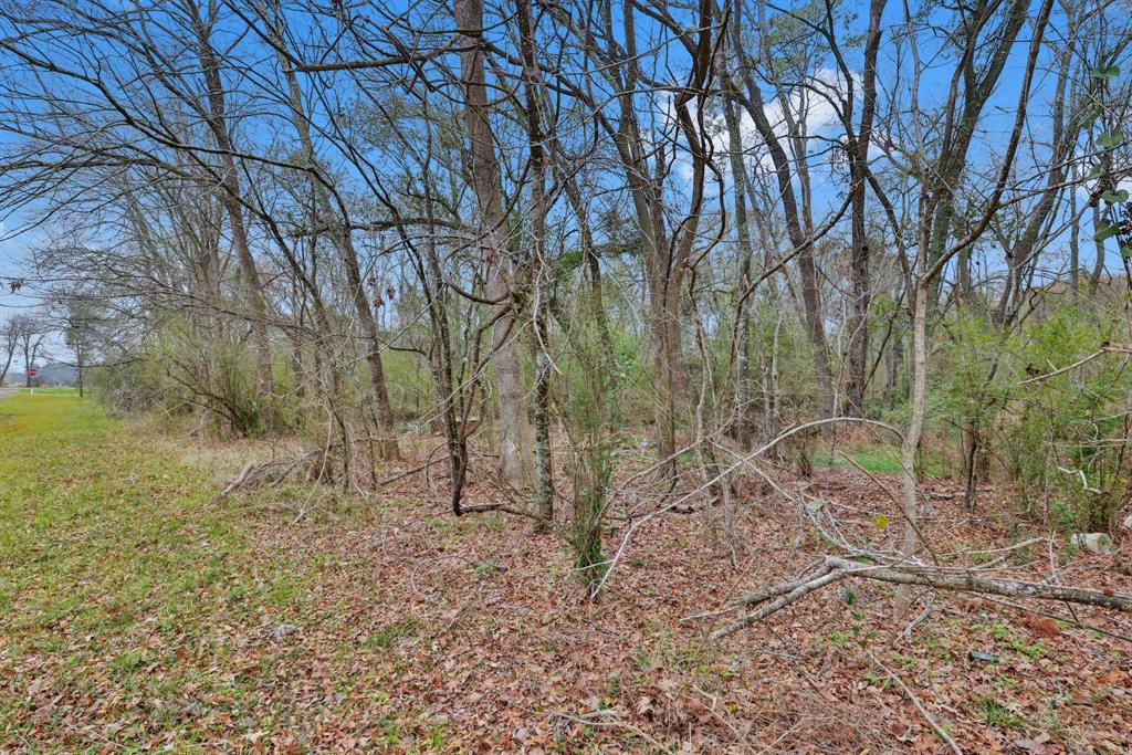 120 Timber Creek Road, New Waverly, Texas image 6