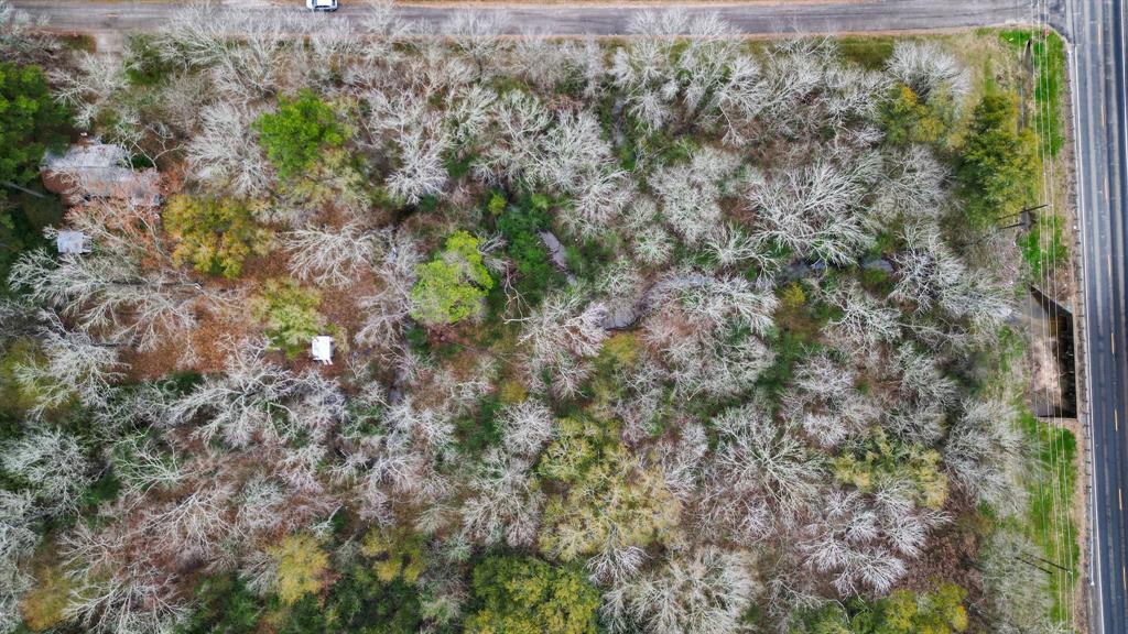 120 Timber Creek Road, New Waverly, Texas image 1