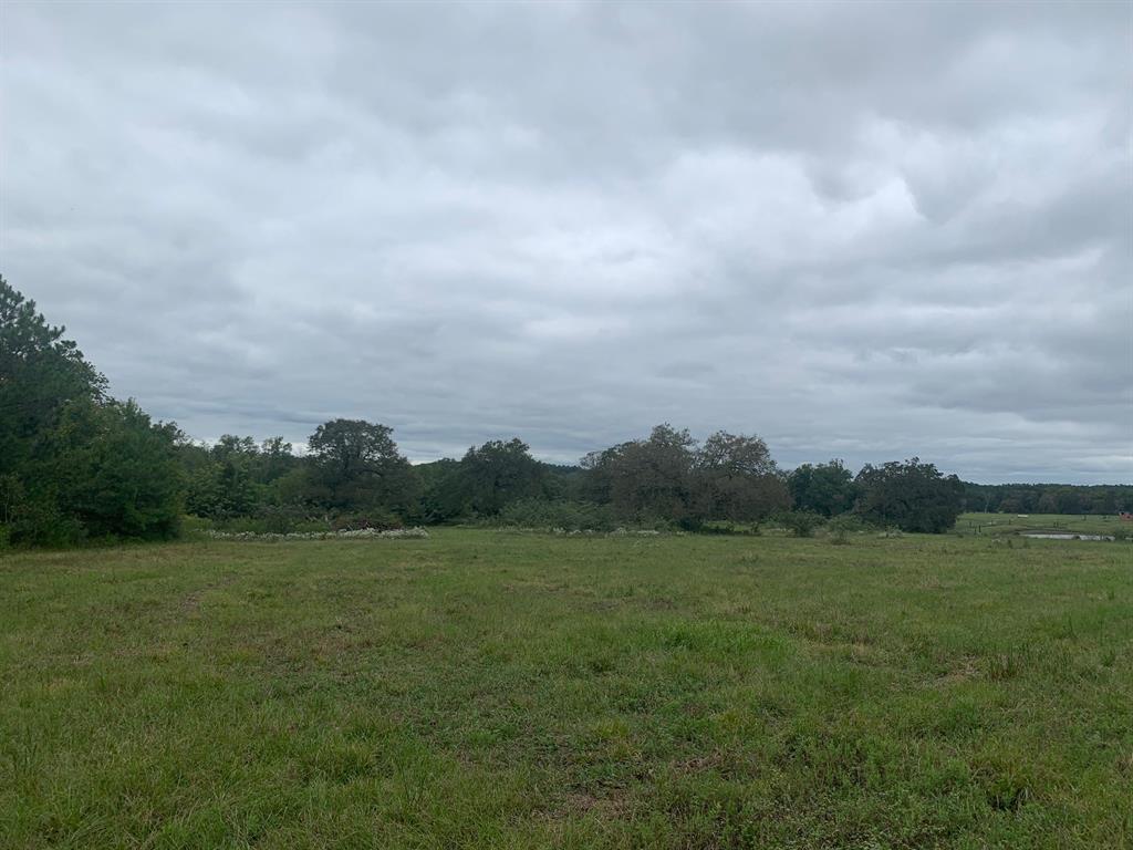 25572 Johnson Road, Montgomery, Texas image 5