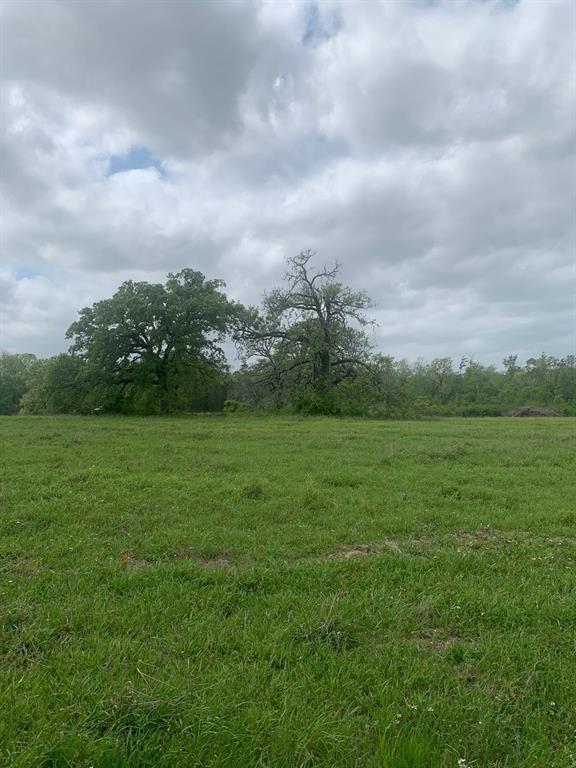 25572 Johnson Road, Montgomery, Texas image 3