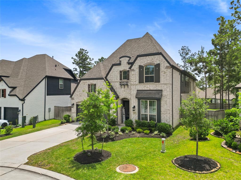 233 Promontory Court, Montgomery, Texas image 37