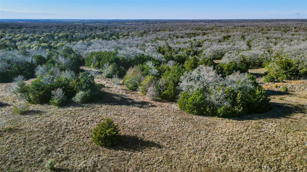 TBD Koppe Bridge Road, College Station, Texas image 11
