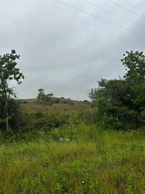 00 Katy Hockley Road, Katy, Texas image 6