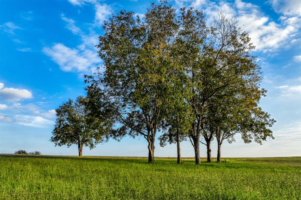 TBD Sunny Meadow Lot 5 Drive, Chappell Hill, Texas image 16