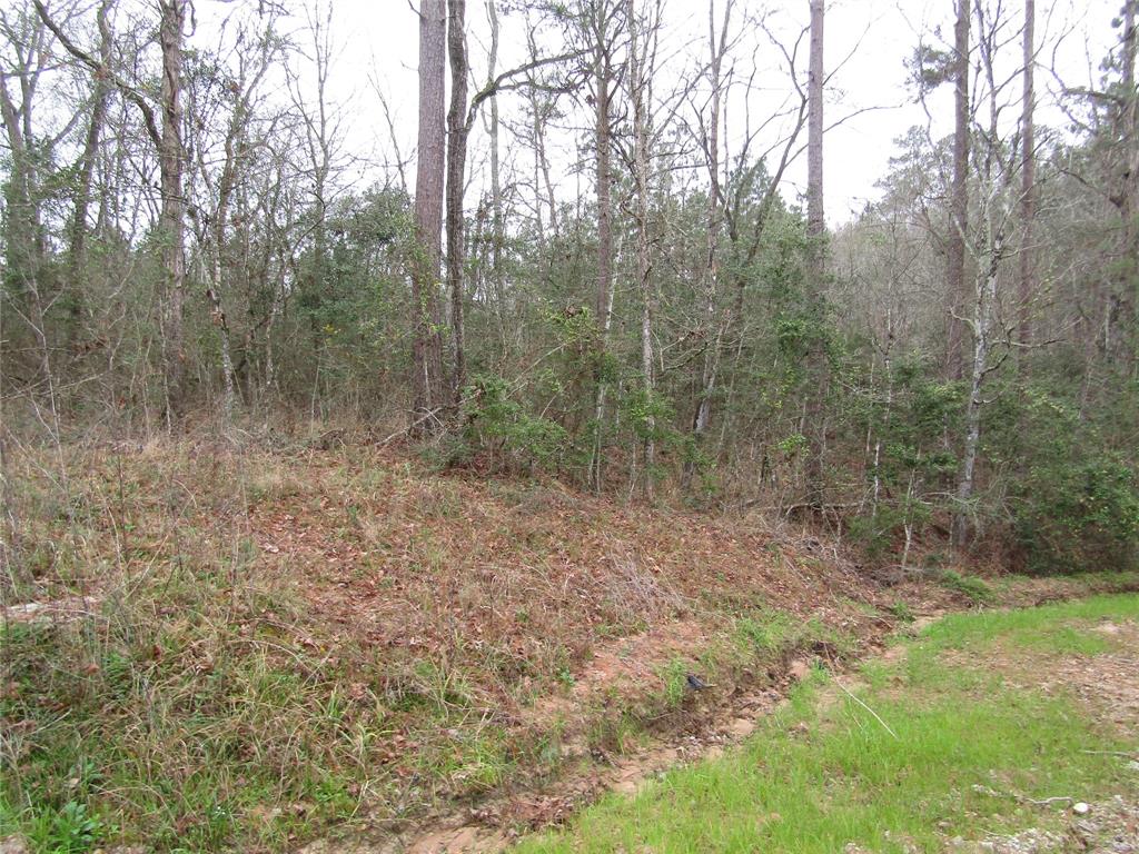 E Acorn Drive, Oakhurst, Texas image 4