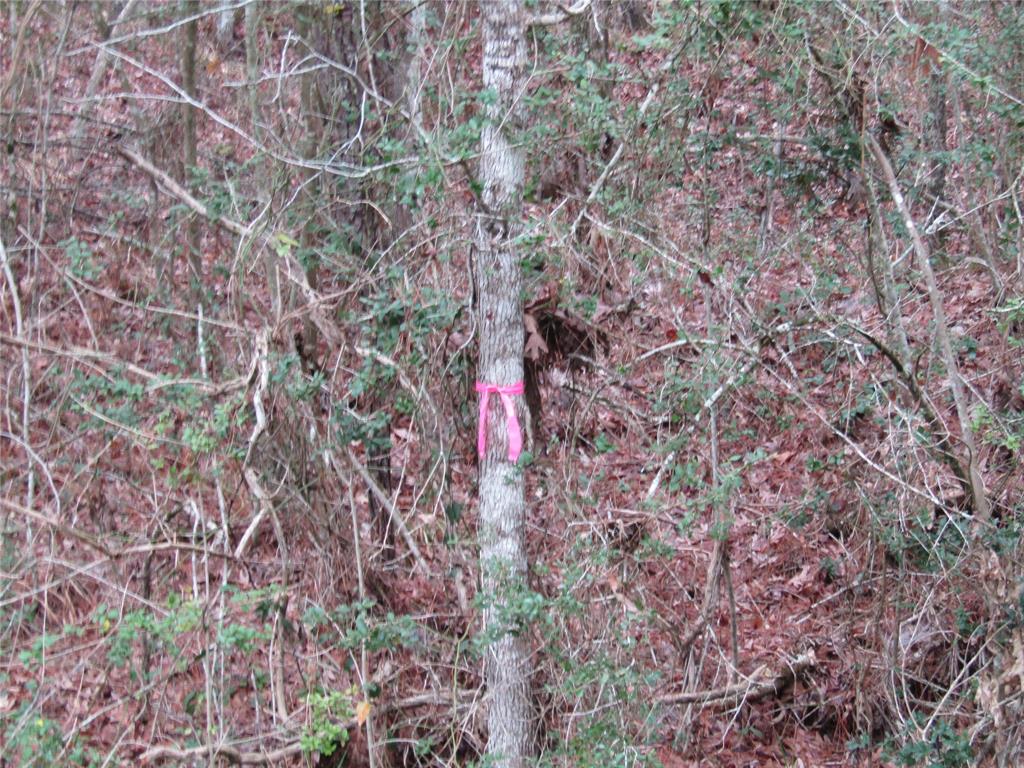 E Acorn Drive, Oakhurst, Texas image 9