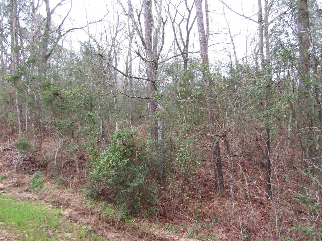 E Acorn Drive, Oakhurst, Texas image 8