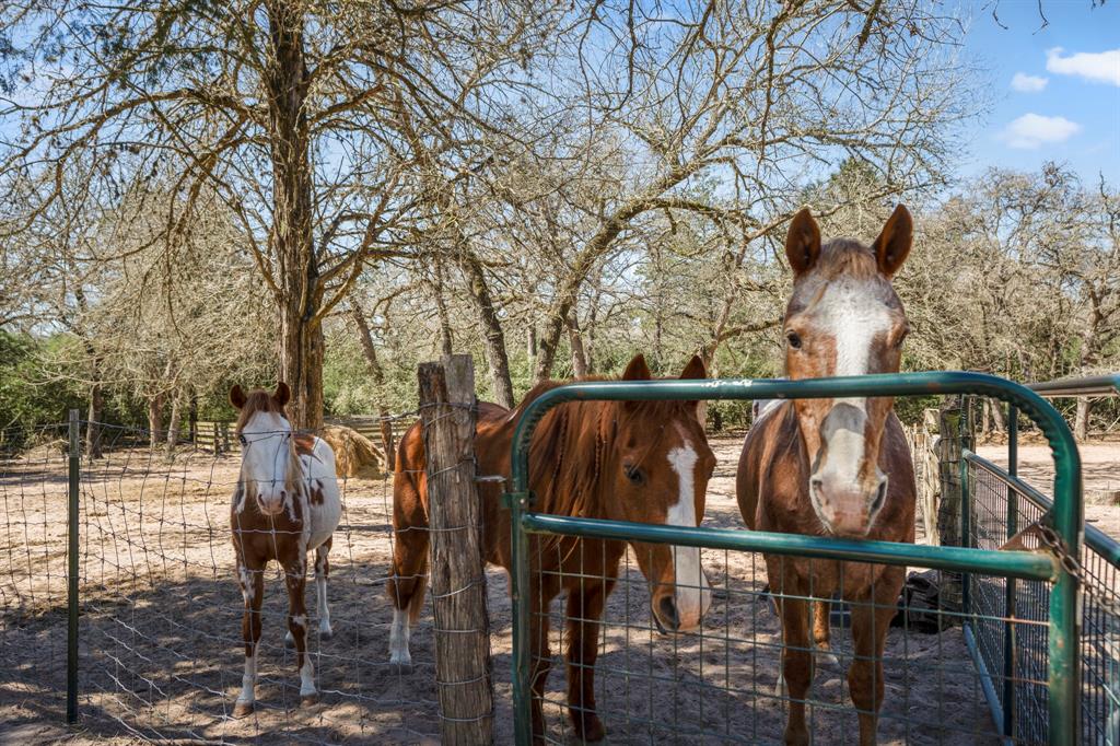 1760 County Road 215, Weimar, Texas image 45