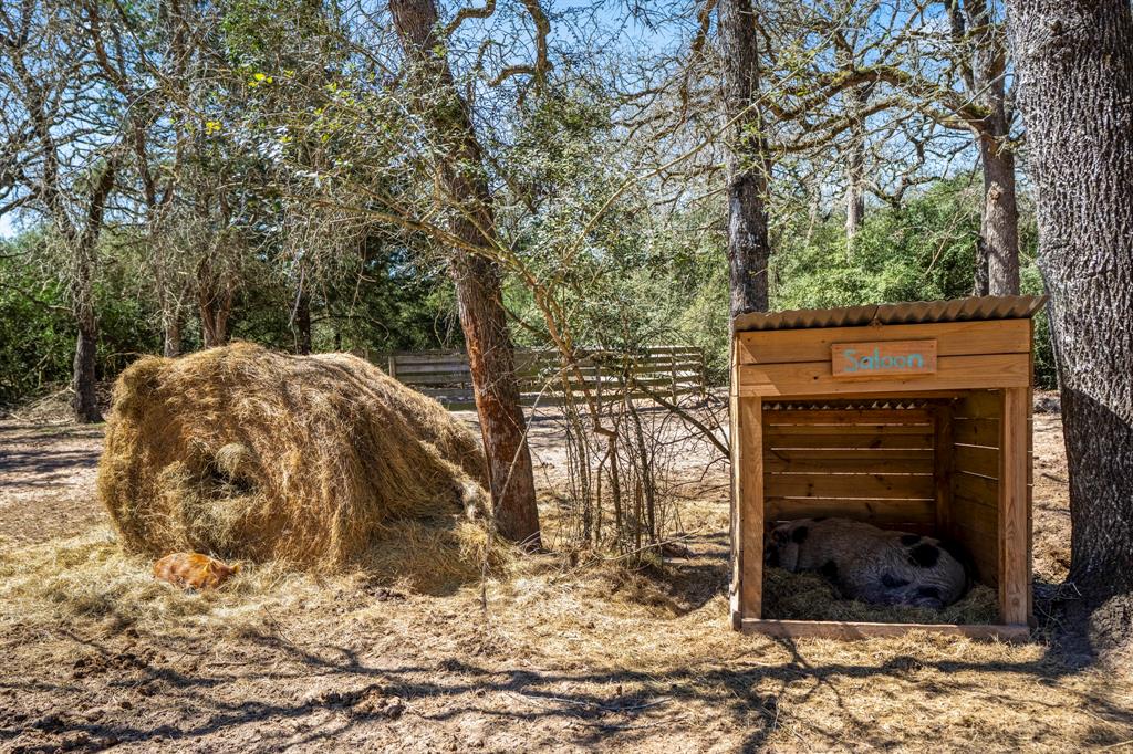 1760 County Road 215, Weimar, Texas image 41