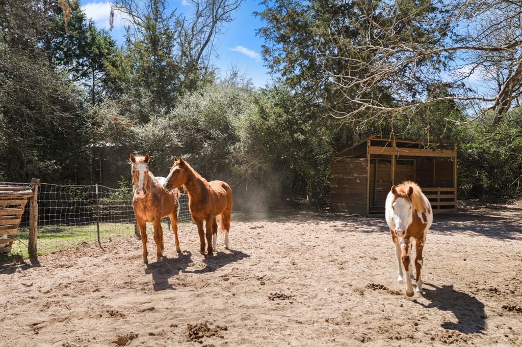 1760 County Road 215, Weimar, Texas image 40