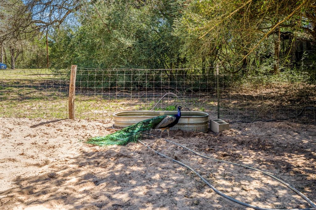 1760 County Road 215, Weimar, Texas image 43